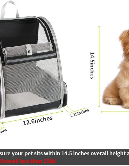 Load image into Gallery viewer, Innovative Traveler Bubble Backpack Pet Carriers for Cats and Dogs (Black)

