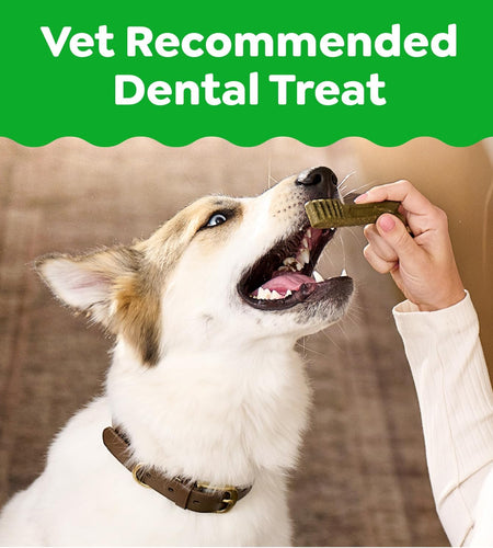 Original Petite Natural Dog Dental Care Chews Oral Health Dog Treats, 36 Ounce Pack (60 Treats)