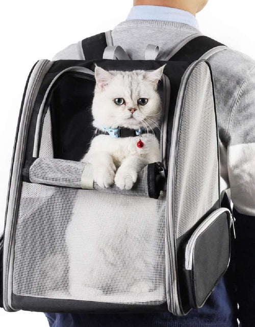 Load image into Gallery viewer, Innovative Traveler Bubble Backpack Pet Carriers for Cats and Dogs (Black)
