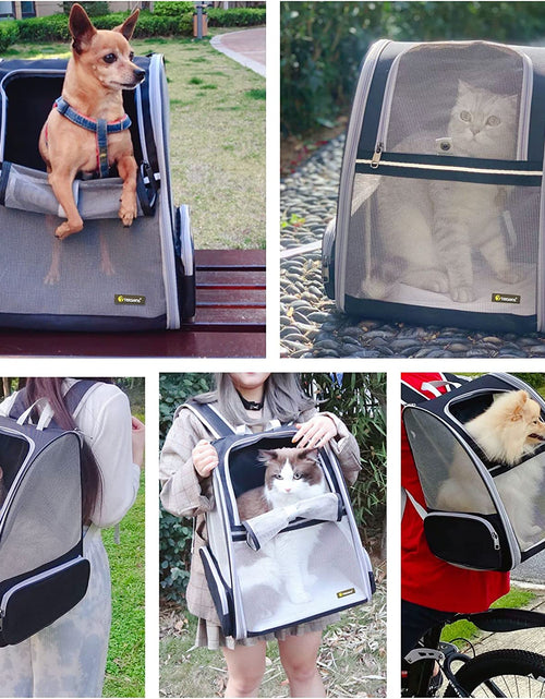 Load image into Gallery viewer, Innovative Traveler Bubble Backpack Pet Carriers for Cats and Dogs (Black)
