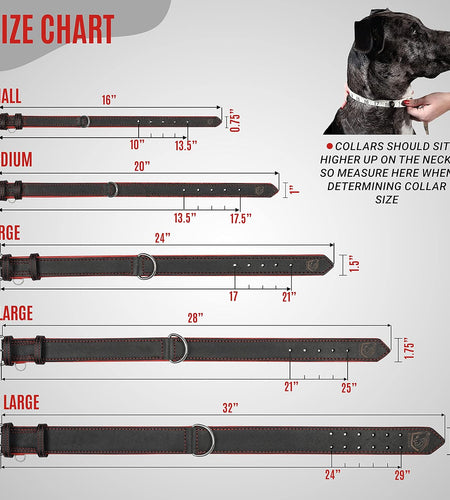 Riparo Genuine Leather Padded Dog Heavy Duty K-9 Adjustable Collar (XXL: 2” Wide for 26” - 29” Neck, Black/Red Thread)