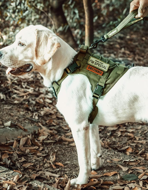 Load image into Gallery viewer, Dog Harness, Tactical Dog Harness No-Pull Breathable Adjustable Pet Vest with Handle for Outdoor Walking(Ranger Green,Small)
