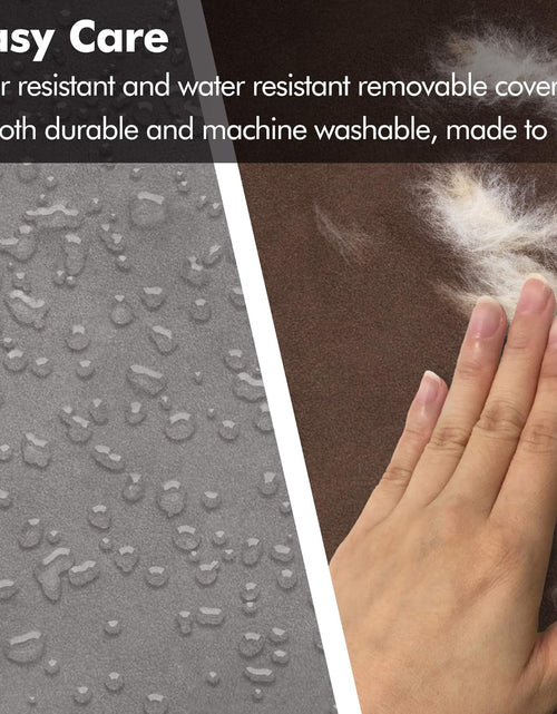 Load image into Gallery viewer, Small Dog Bed, Orthopedic Dog Sofa Memory Foam Mattress, Calming Dog Couch Bed, Wall Rim Pillow, Water Resistant Liner, Washable Cover, Non-Slip Bottom, Chester, Small Khaki Beige
