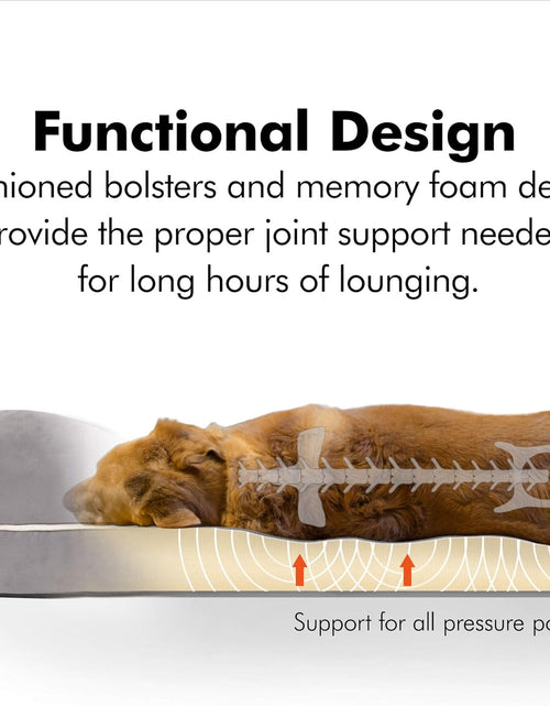 Load image into Gallery viewer, Small Dog Bed, Orthopedic Dog Sofa Memory Foam Mattress, Calming Dog Couch Bed, Wall Rim Pillow, Water Resistant Liner, Washable Cover, Non-Slip Bottom, Chester, Small Khaki Beige
