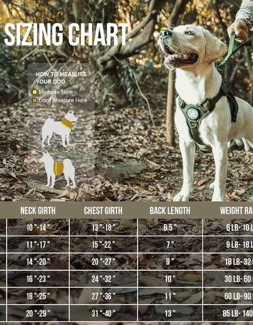 Load image into Gallery viewer, Dog Harness, Tactical Dog Harness No-Pull Breathable Adjustable Pet Vest with Handle for Outdoor Walking(Ranger Green,Small)
