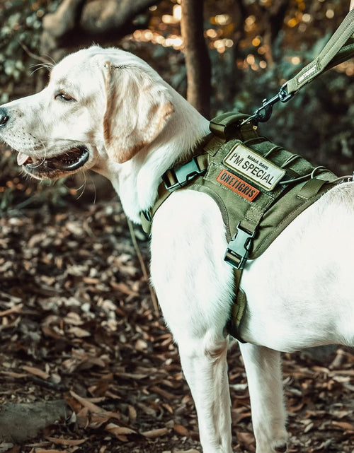 Load image into Gallery viewer, Dog Harness, Tactical Dog Harness No-Pull Breathable Adjustable Pet Vest with Handle for Outdoor Walking(Ranger Green,Small)
