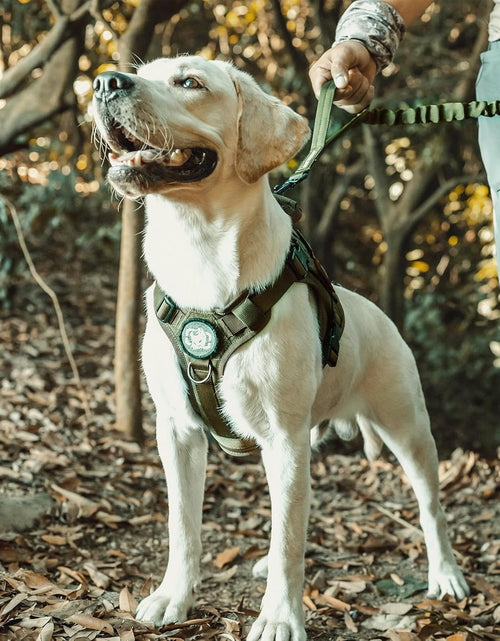 Load image into Gallery viewer, Dog Harness, Tactical Dog Harness No-Pull Breathable Adjustable Pet Vest with Handle for Outdoor Walking(Ranger Green,Small)
