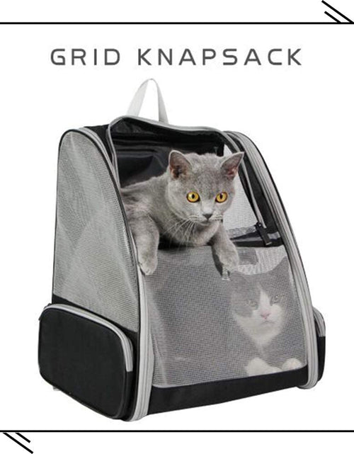 Load image into Gallery viewer, Innovative Traveler Bubble Backpack Pet Carriers for Cats and Dogs (Black)
